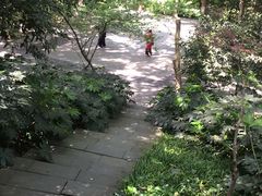 -杭州半山国家森林公园