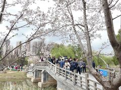 -堤角公园