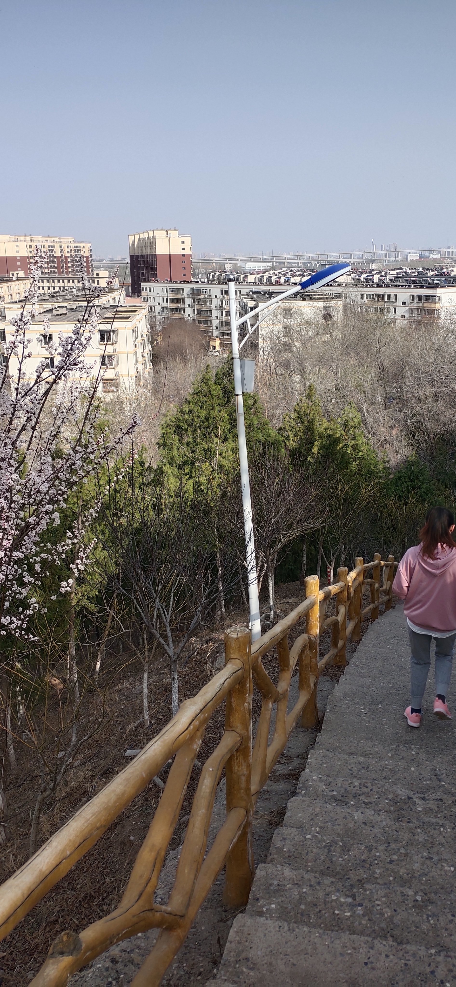 今天下午去了张郭庄休闲公园玩,那里风景真