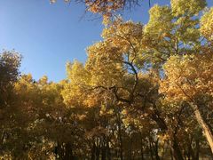 -敦煌莫高国际机场