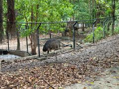 -清迈夜间动物园