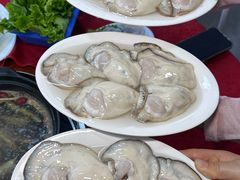 -花苑美食横琴生蚝火锅(拱北粤华路店)
