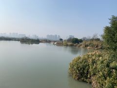 -三垟湿地