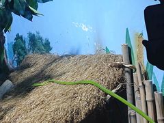 -石家庄市动物园