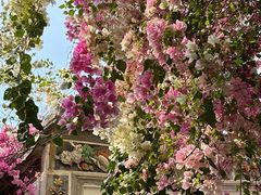 -深圳国际园林花卉博览园