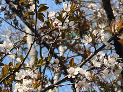 -莲花茶都(莲花路店)