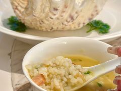 -汤城·料青山