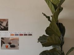 -纽巷咖啡 SOFTFOCUS COFFEE(锦和巴黎时韵店)