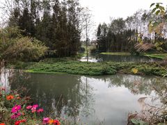 -桤木河湿地公园