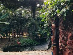 -呀路古热带植物园