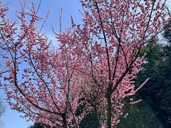 -城市运动公园(未央区)