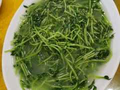 -鸿达渔港