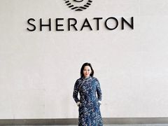 -广州奥园喜来登酒店