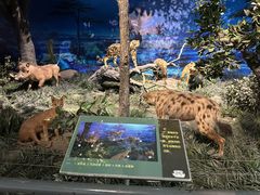 -国家自然博物馆