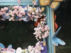 -蝴蝶泉公园