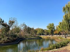 -中山公园