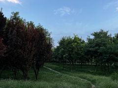 -东坝千亩湖公园