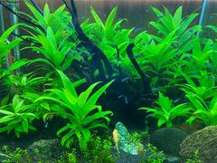 -百味源炭火烤翅 ·夜市大排档(酒仙桥店)