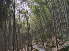 -黄山翡翠谷景区