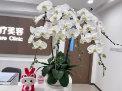 -丰联丽格医疗美容·联合丽格眼整形中心