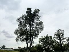 -府河摄影公园
