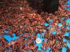 -盒马鲜生(岭南新世界店)