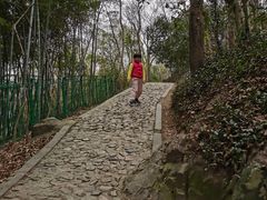 -上海佘山国家森林公园西佘山园