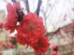 -长广溪湿地公园