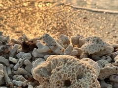 -石螺口海滩