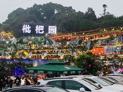 -枇杷园食为鲜火锅(南山店)