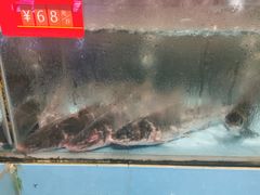 -饭怕鱼(阳光100店)