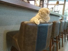 -咖法森林·咖啡  酒吧(天河店)