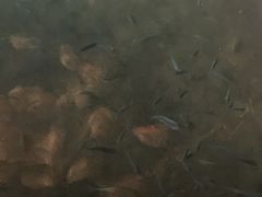 -宝丽金大酒店·洗浴中心