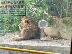 -栾川竹海野生动物园