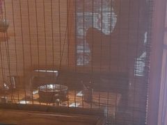 -九田家黑牛烤肉料理(华侨城店)