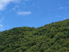 -狮子沟牧场