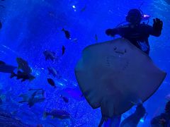 -沈阳海洋探索中心