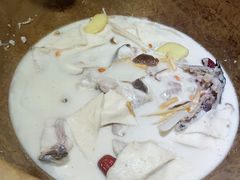 石锅鱼-滇香肴·云南菜蒸汽石锅鱼(云南北路店)