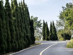 -青龙山生态文化旅游区(慈云寺)