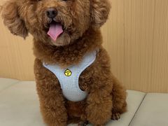 -瑞派康怡24h宠物医院·犬猫医疗中心·微创绝育(瑞景分院)