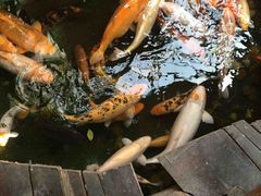 -上海大自然野生昆虫馆(东方明珠·爬宠昆虫探索中心)