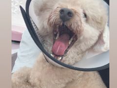 -荔康动物医院(康王北路店)