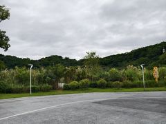 -飞凤山奥体公园