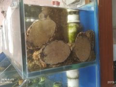 水产区-香满居张记小厨私房菜(青岛站店)