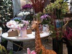 -卓花境Flowerwonderland花店