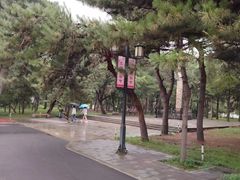 -北陵公园