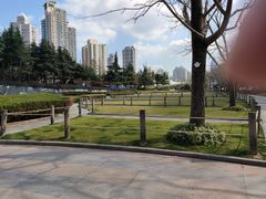 -上海不夜城广场(上海不夜城金融大厦店)