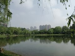 -堤角公园