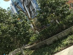 -Wagas沃歌斯(大学路店)