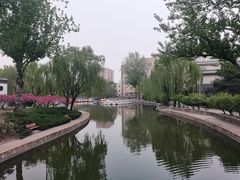 -团结湖公园